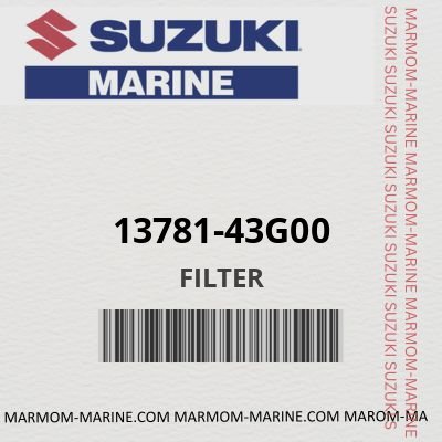 13781-43G00 - FILTER