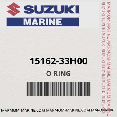 15162-33H00 - O RING