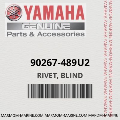 90267-489U2 - RIVET, BLIND