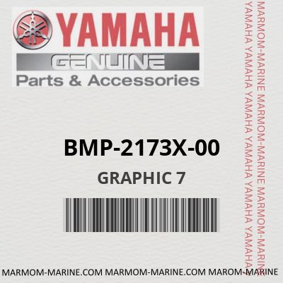 BMP-2173X-00 - GRAPHIC 7