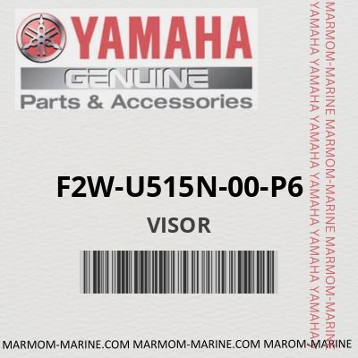 F2W-U515N-00-P6 - VISOR